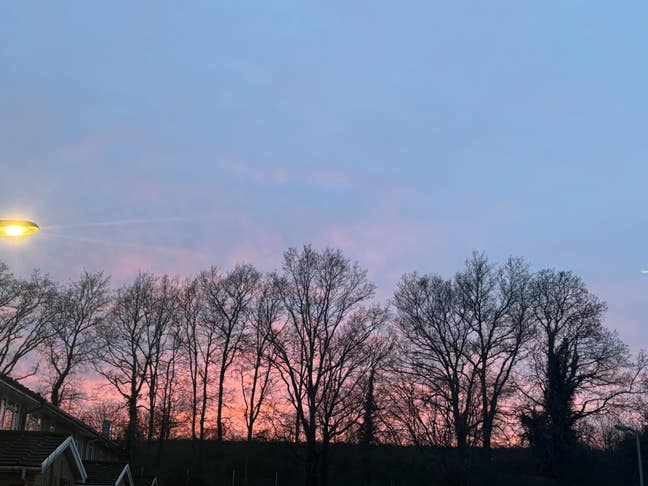 I am a male aged 21. And a 2 year old lovey v... Main Photo