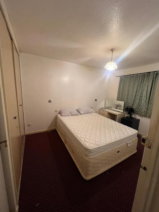 Luxurious Double and single Room Available  Main Photo
