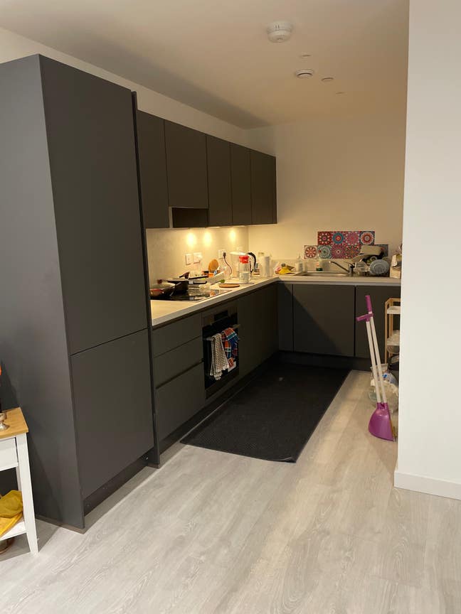 Professional Female  only studio for rent Main Photo