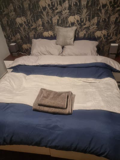 Good size furnished bedroom for rent Main Photo