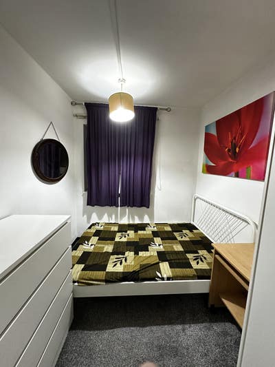 Single room available for females preferably Main Photo