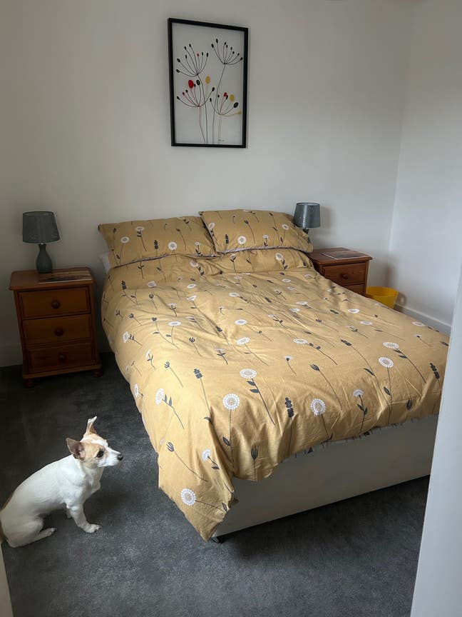 Large double room in pet friendly house Main Photo