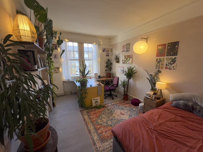 Subletter wanted for Gorgeous Belsize Park Flat Main Photo