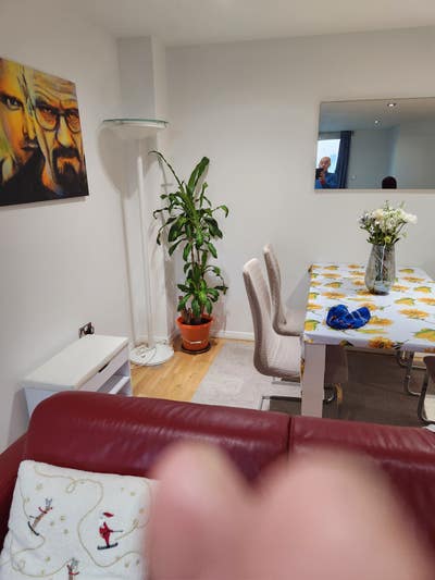 Beautiful doble room to let overlooking the Dome  Main Photo