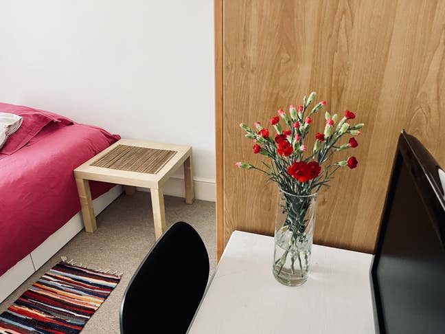 Lovely double room in Muswell Hill  Main Photo