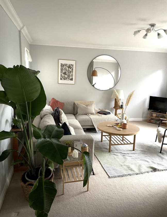 Double en-suite room in bright airy top floor flat Main Photo