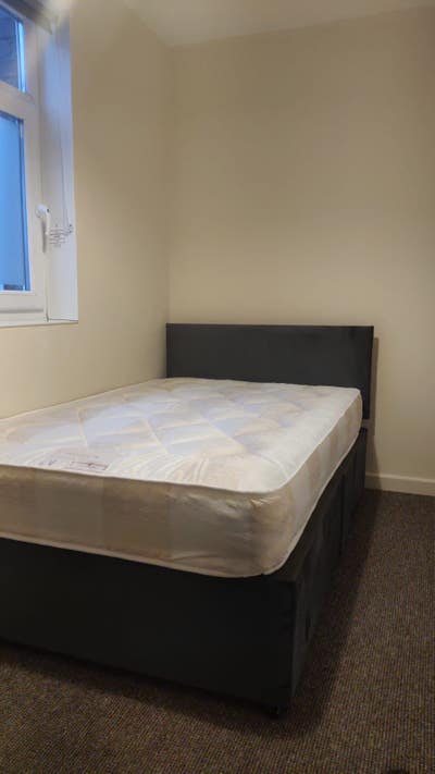 Albert Rd 2 - Furnished room available for rent Main Photo