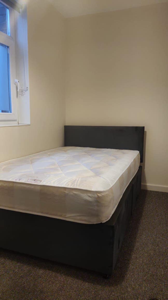 Albert Rd 2 - Furnished room available for rent Main Photo