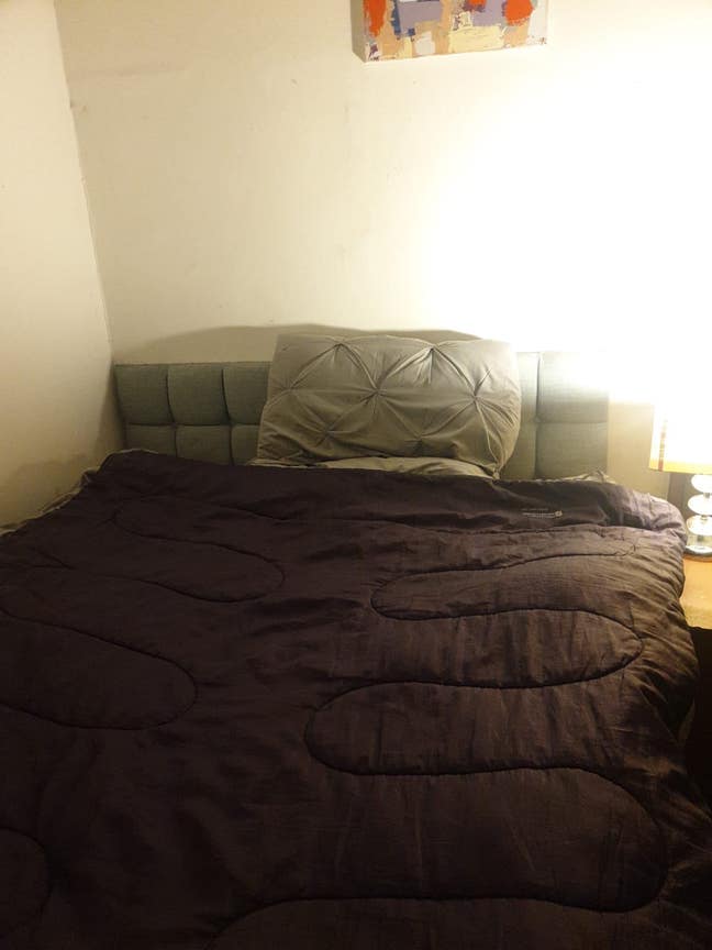 Affordable single bedroom in shared flat  Main Photo