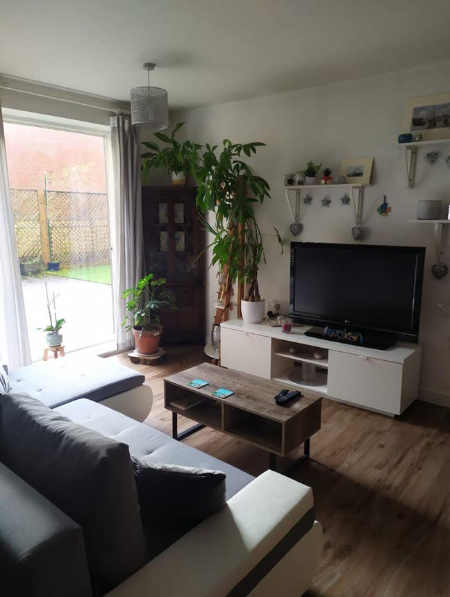 One bedroom apartment with terrace. Bills included Main Photo