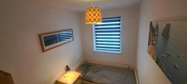 Single  room to let  Main Photo