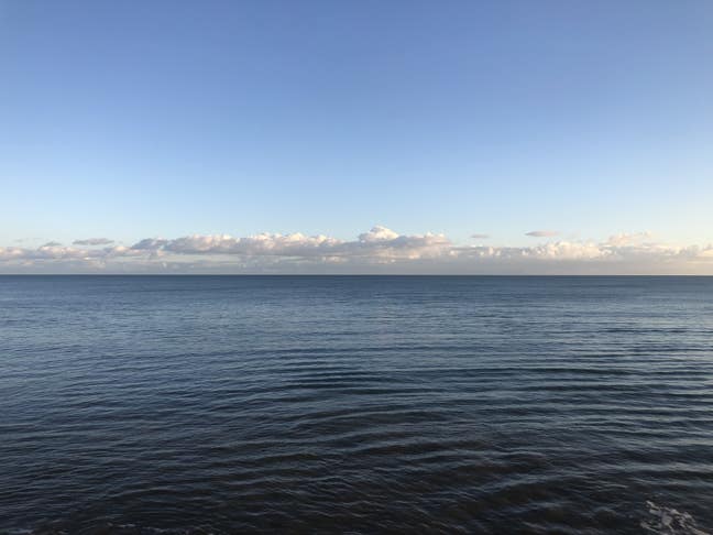 Room Wanted Main Photo