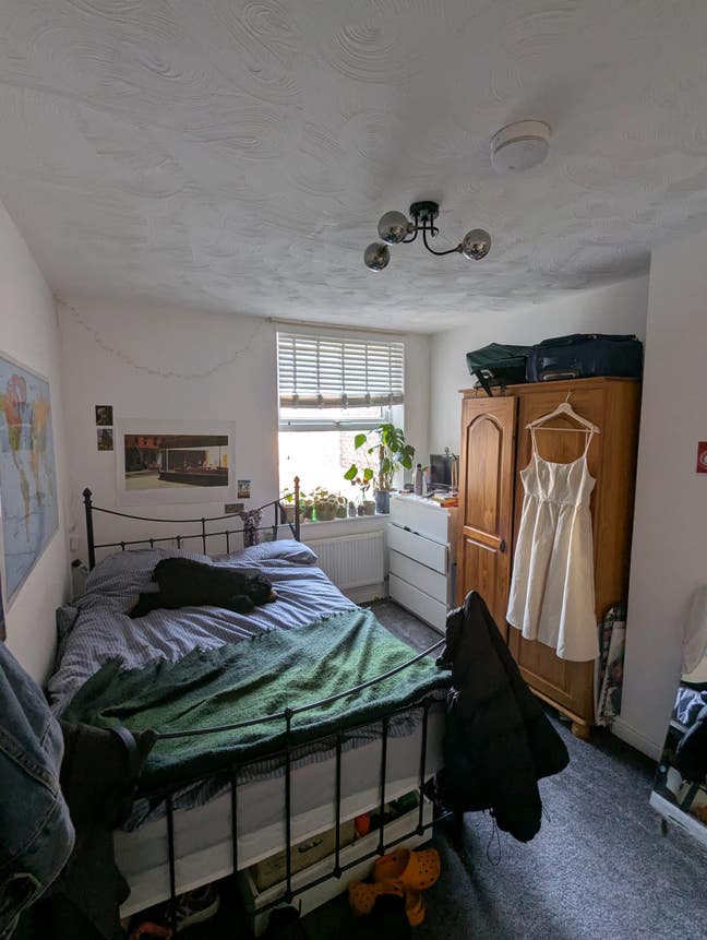 Looking for a new flatmate Main Photo