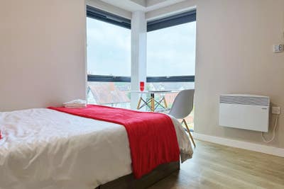 Sept 2025 Intake | Bills Included | Luxury Studio Main Photo