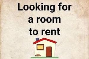 Looking for a Single Room – Easy Commute to London Main Photo