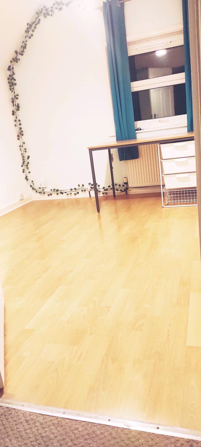 You will get Clean, quite room with all amenities. Main Photo
