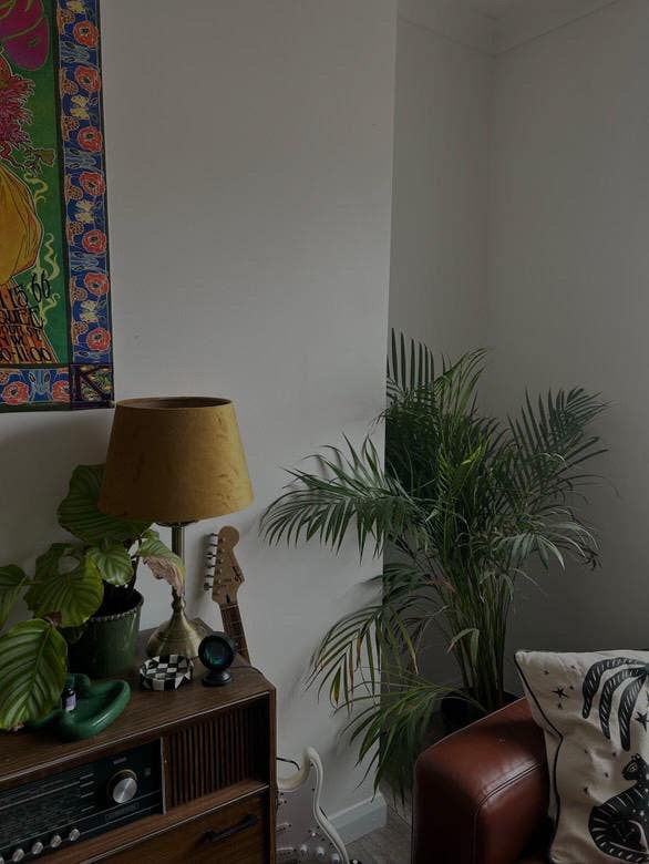 Looking for a flatmate for south-side flat Main Photo