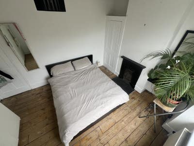 Sunny Double room in Friendly house with cat  Main Photo