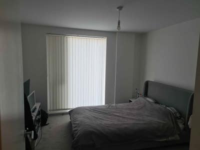 Peaceful room with own bathroom for rent Main Photo