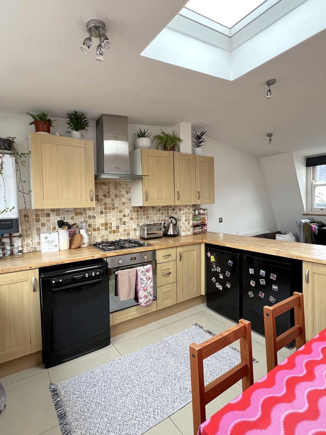 Friendly flat looking for a new addition! 🩵 Main Photo