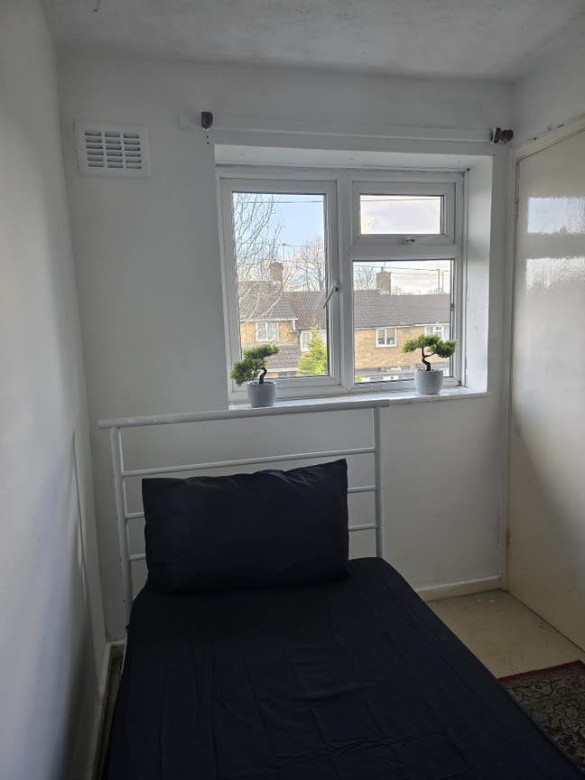 Single room for rent Main Photo