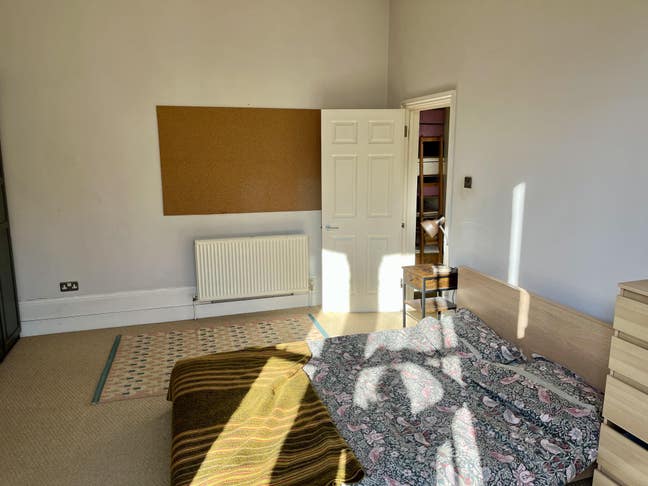 Large sunny double room, Mon-Fri, Stoke Newington  Main Photo