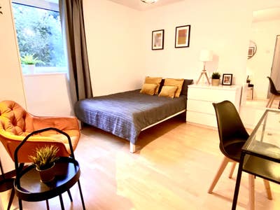 New decorated, Twice a week cleaning service Main Photo