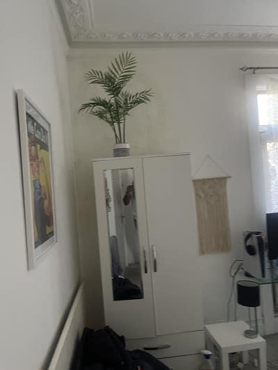 Room to Rent Wimbledon Main Photo