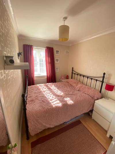 Double room for rent  Main Photo