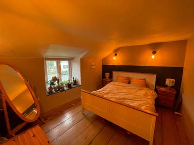 Cosy cottage with log burner, garden, parking Main Photo
