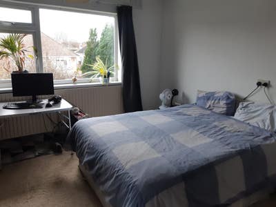 1 spacious room in sharehouse Main Photo