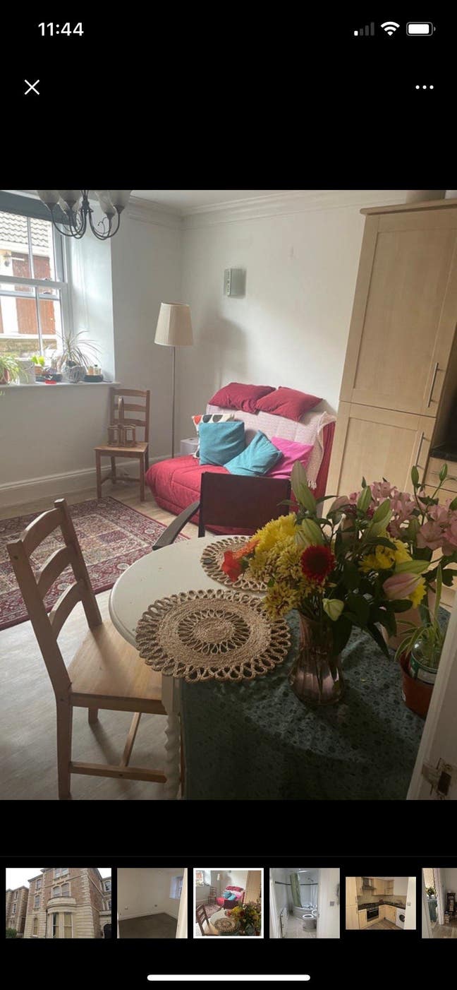 Room available in cosy Clifton flat! Main Photo