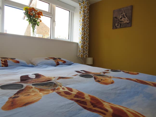 The Giraffe House (1 bed whole house available) Main Photo
