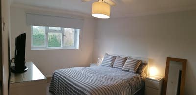 Later this year :Spacious double in calm house  Main Photo