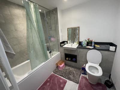  Student  Female preferred studio  for  rent  Main Photo