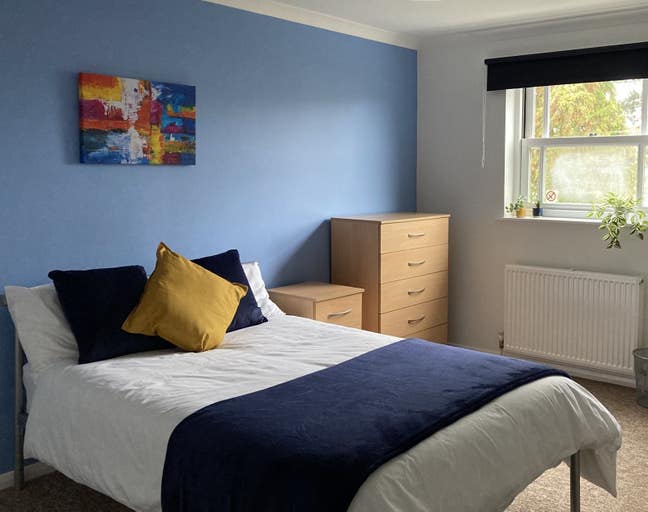 Spacious Double in Friendly house in Summertown  Main Photo