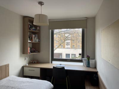 Central Ensuite Student Accom Room Main Photo