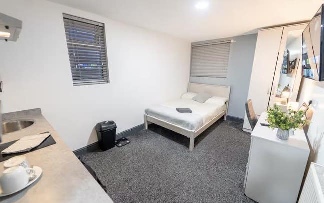 Large Studio in Bournbrook B29 on Offer! 🔥 Main Photo