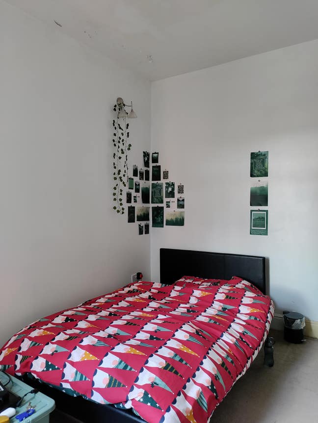 Large Room Double Available September Intake  Main Photo