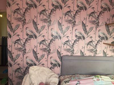 Double (& Single room soon ) in shared home Main Photo