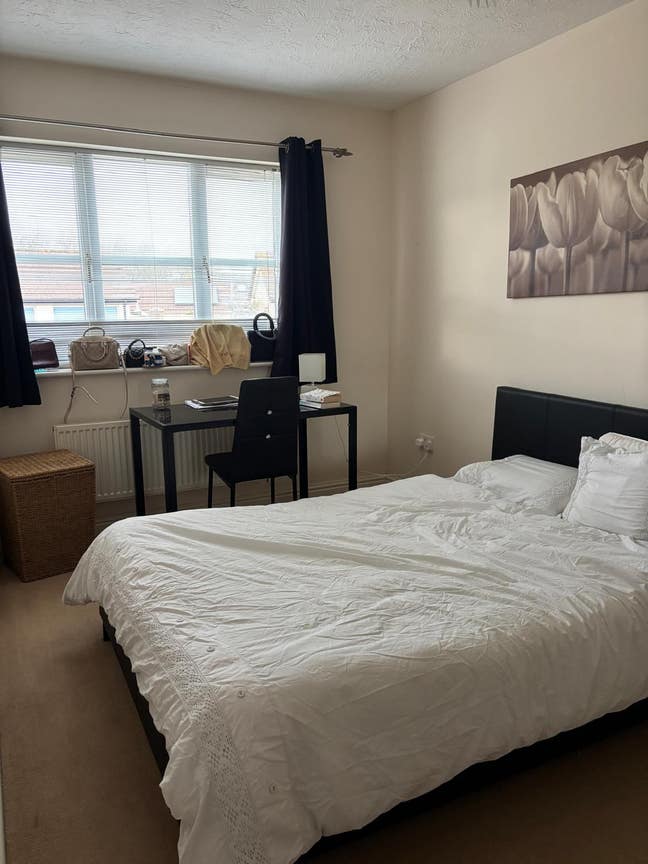 Beautiful room available  Main Photo