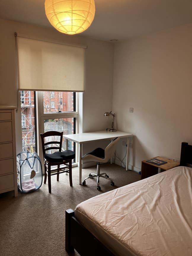 Cozy double room in a modern flat in Zone 1 Main Photo