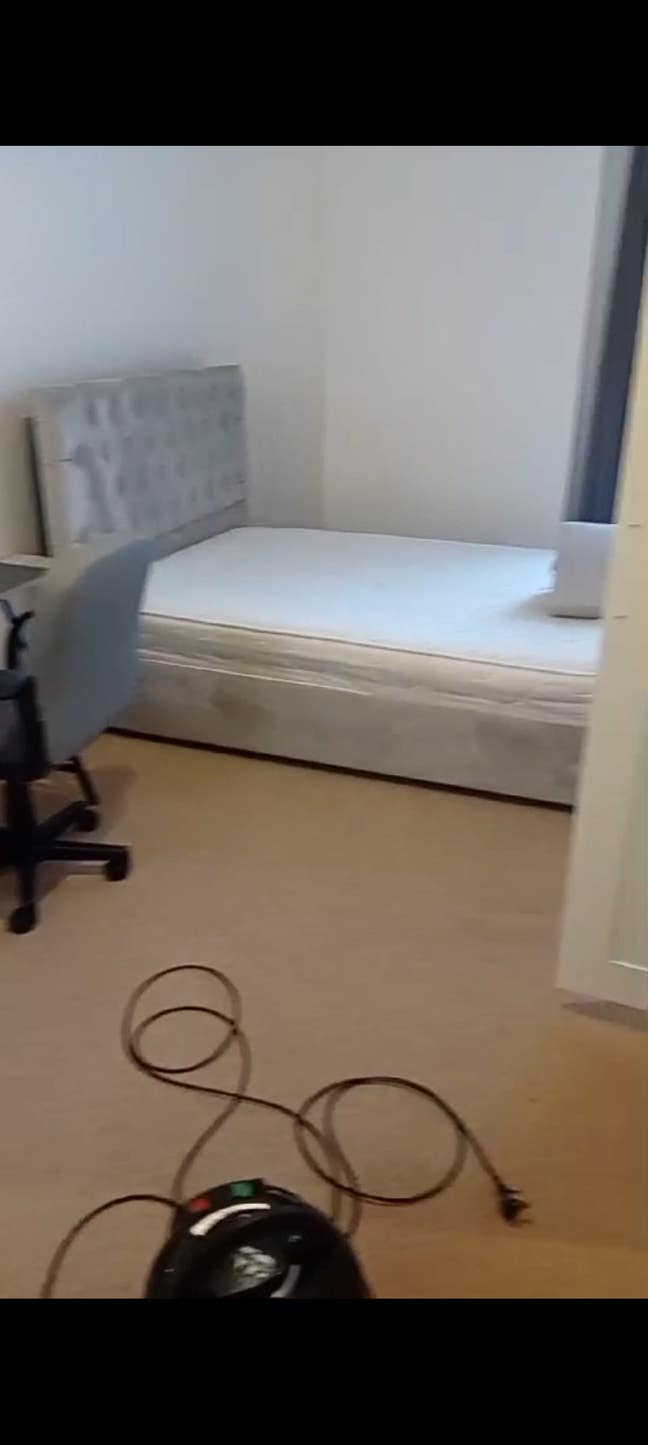 Looking for short term flatmate  Main Photo