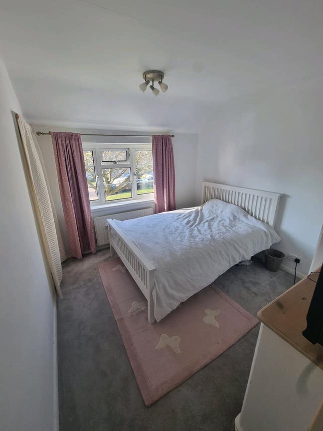 Double and single room for rent  Main Photo