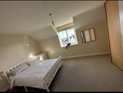 Large Double Room Available  Main Photo