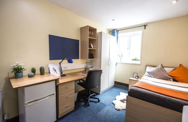 Immediate Check In | Bills Included | Professional Main Photo