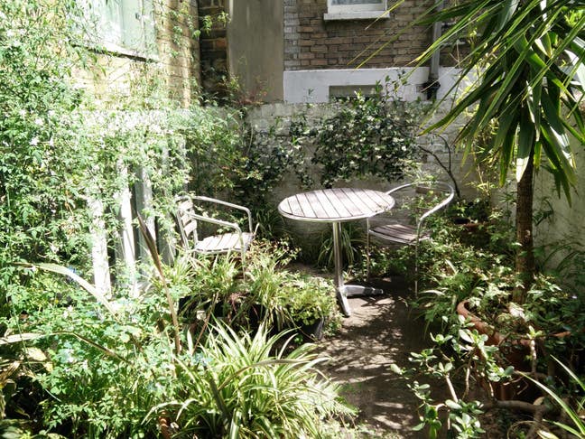 Notting Hill Aug 13-23 & 26-30 Garden flat +cats Main Photo