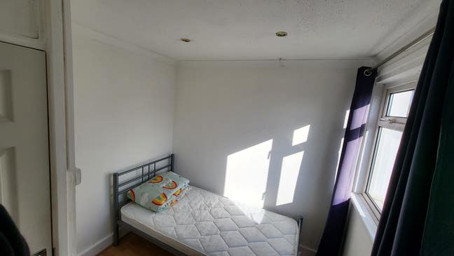 Single room available  Main Photo