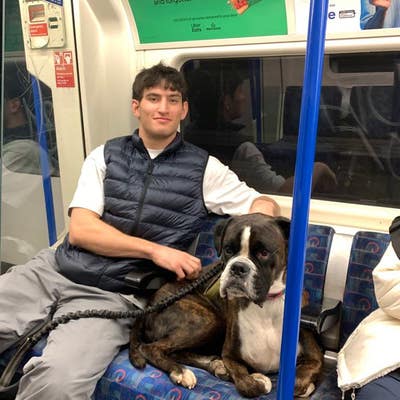 Looking for a new flat with social flat mates  Main Photo