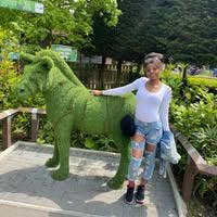 Professional Female seeks a single or double room Main Photo